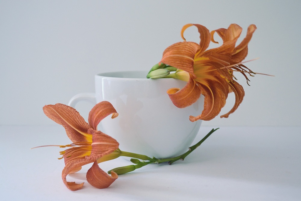 Picture of coffee cup with flowers